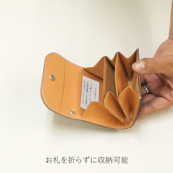 箔パイソン - ミニ財布