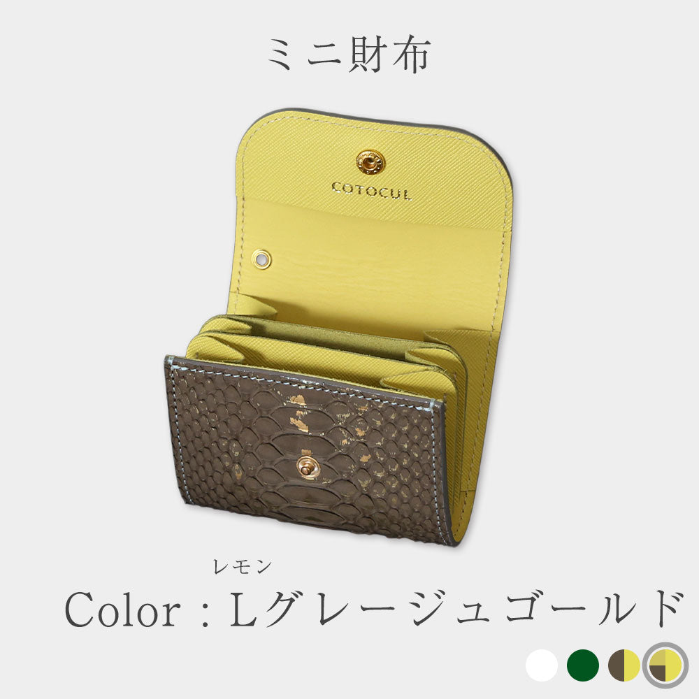 中国 151 ミニリュウ コイン 金色 シークレット 81ii5GprJnL._UF350,350_QL50_.jpg