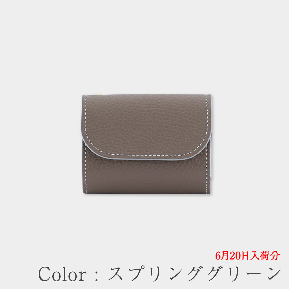[Advanced Italian] Mini Wallet 